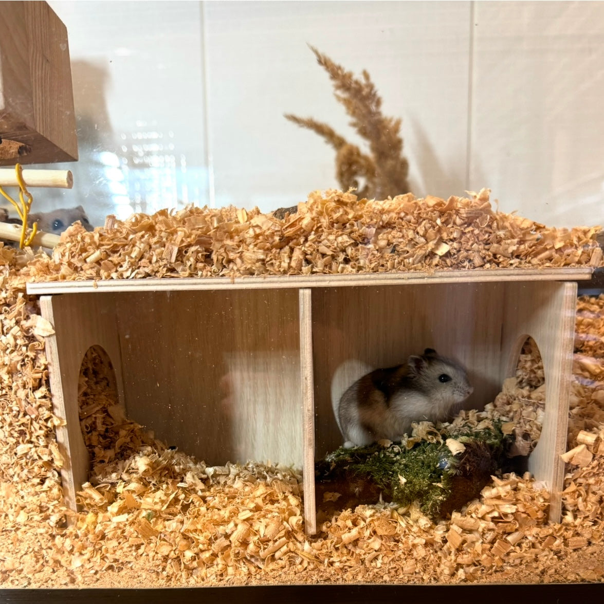 Nejprodávanější bunkr pro křečka - skrýš a tunel v jednom