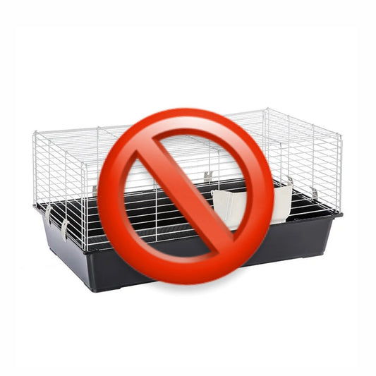 Nejčastější chyba při chovu křečků: malá klec a její dopad na zdraví