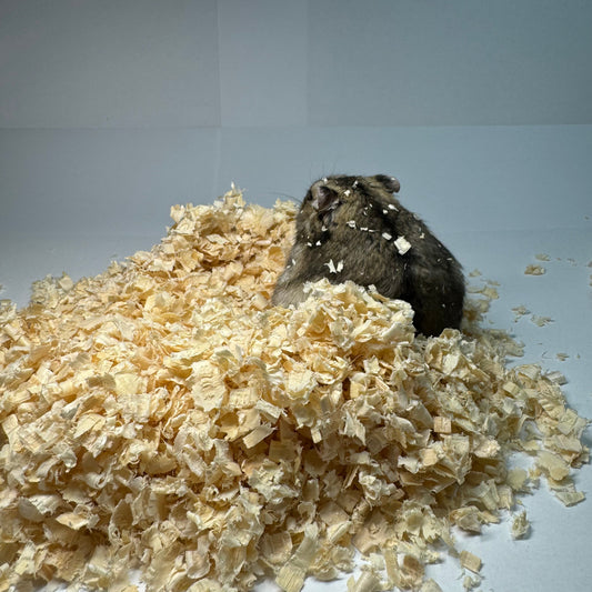 podestylka-pro-krecka-hobliny