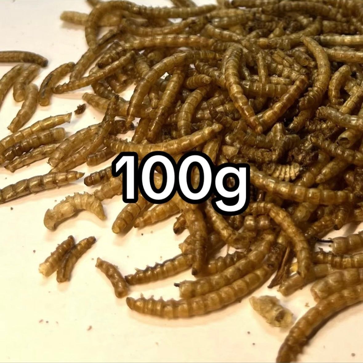 Mouční červi sušení 100g balení pochoutka pro ptactvo a drůbež